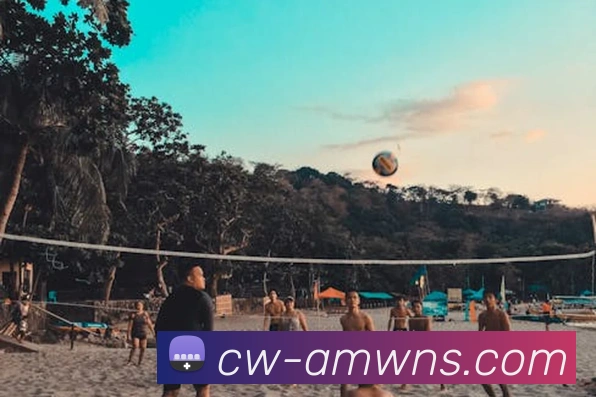 多媒体互动体验